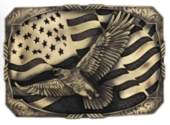 Montana Silversmiths Attitude Buckle #A947C