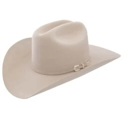 Stetson Skyline 6X Felt Hat #SFSKYL-7540